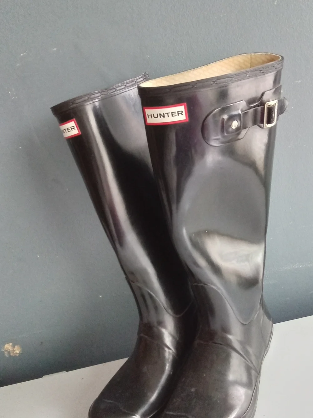 Hunter classic tall
